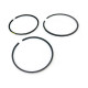 Segman takımı 320/09299 JCB Dieselmax standart, OEM Goetze