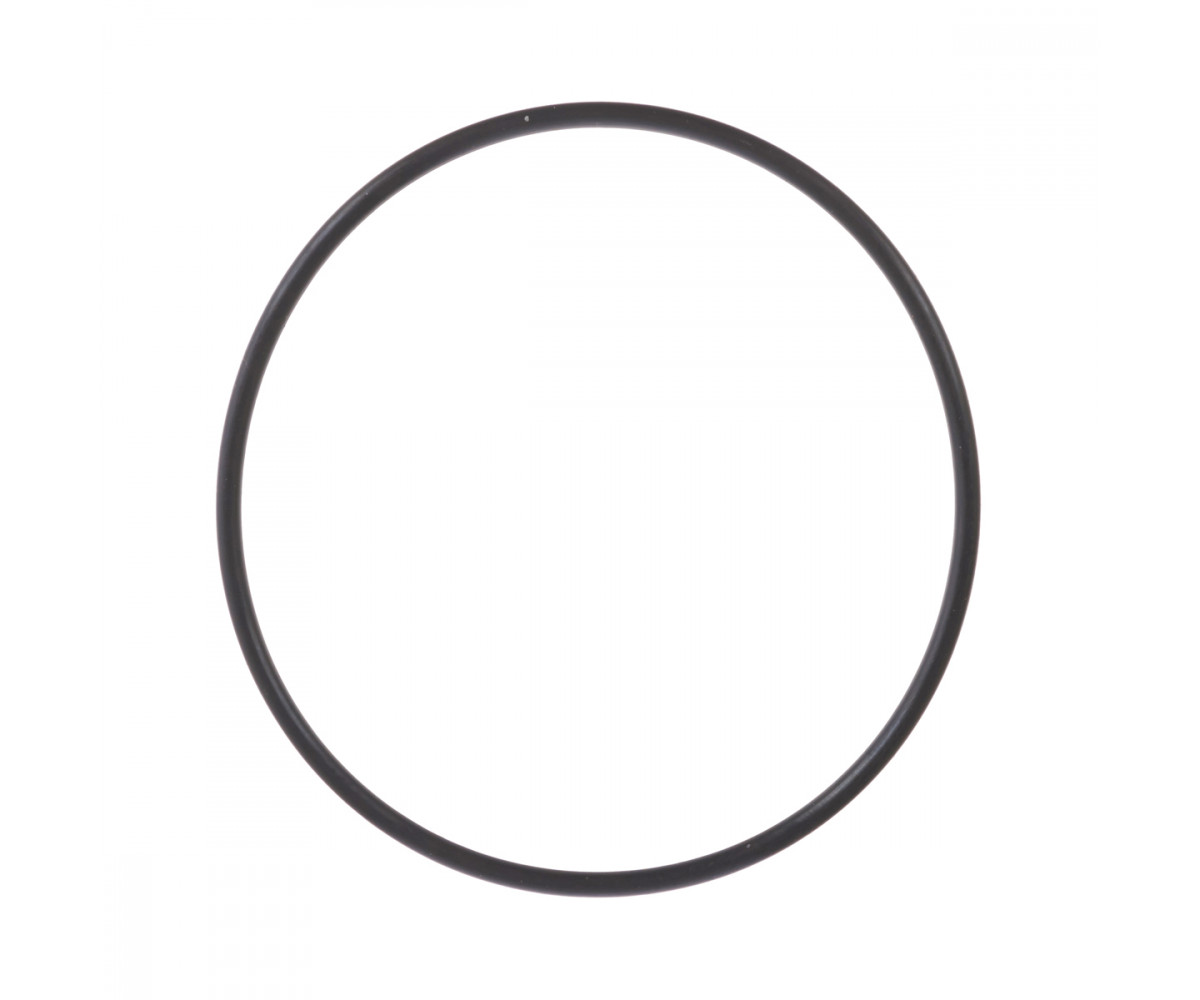 O-ring 28613 Carraro, aftermarket