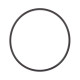 O-ring 28613 Carraro, aftermarket