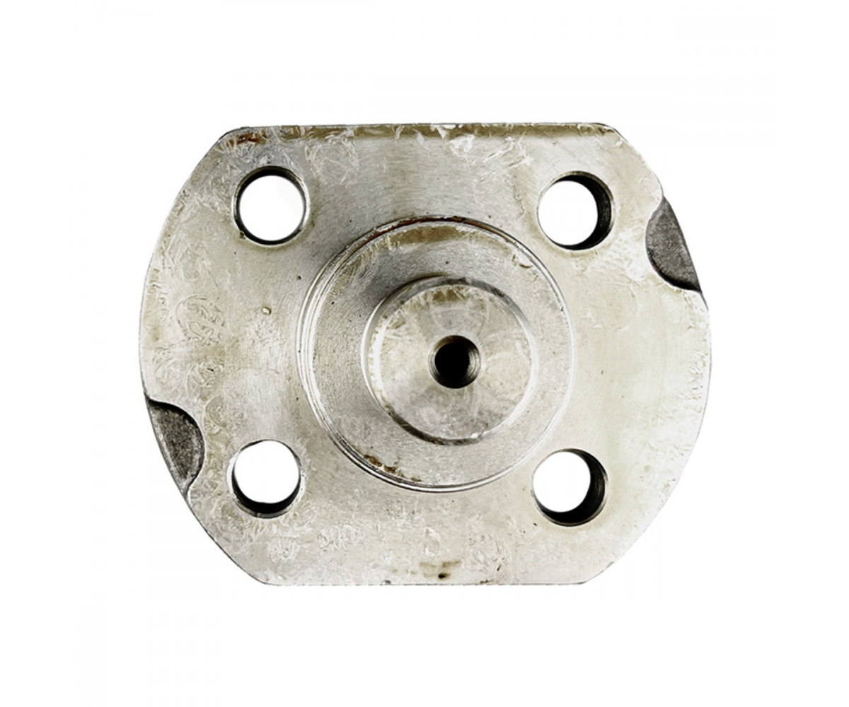 Dingil başı muylu pimi (kingpin) 128903 Carraro, muadil