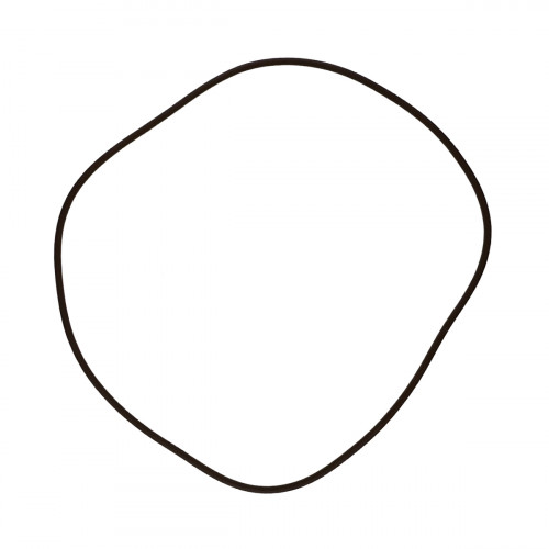 Brake piston O-ring, large 141937 Carraro, aftermarket